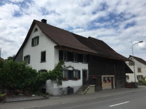 Гостиница Airport Zürich Elwiras B & B  Луфинген